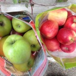 October on Planet Byn {2017}